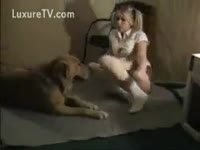 Dog force beastiality sex with owner